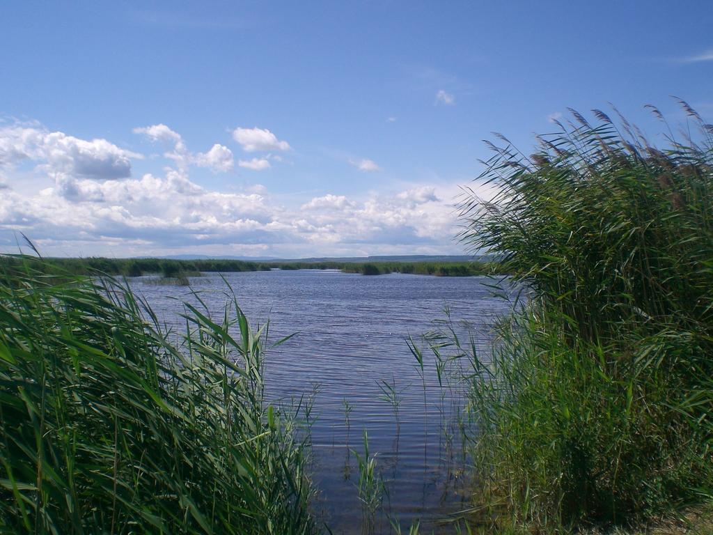 Ferienwohnungen Feldsee Illmitz Exterior foto