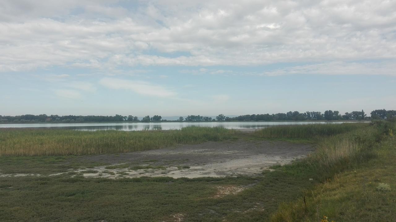 Ferienwohnungen Feldsee Illmitz Exterior foto