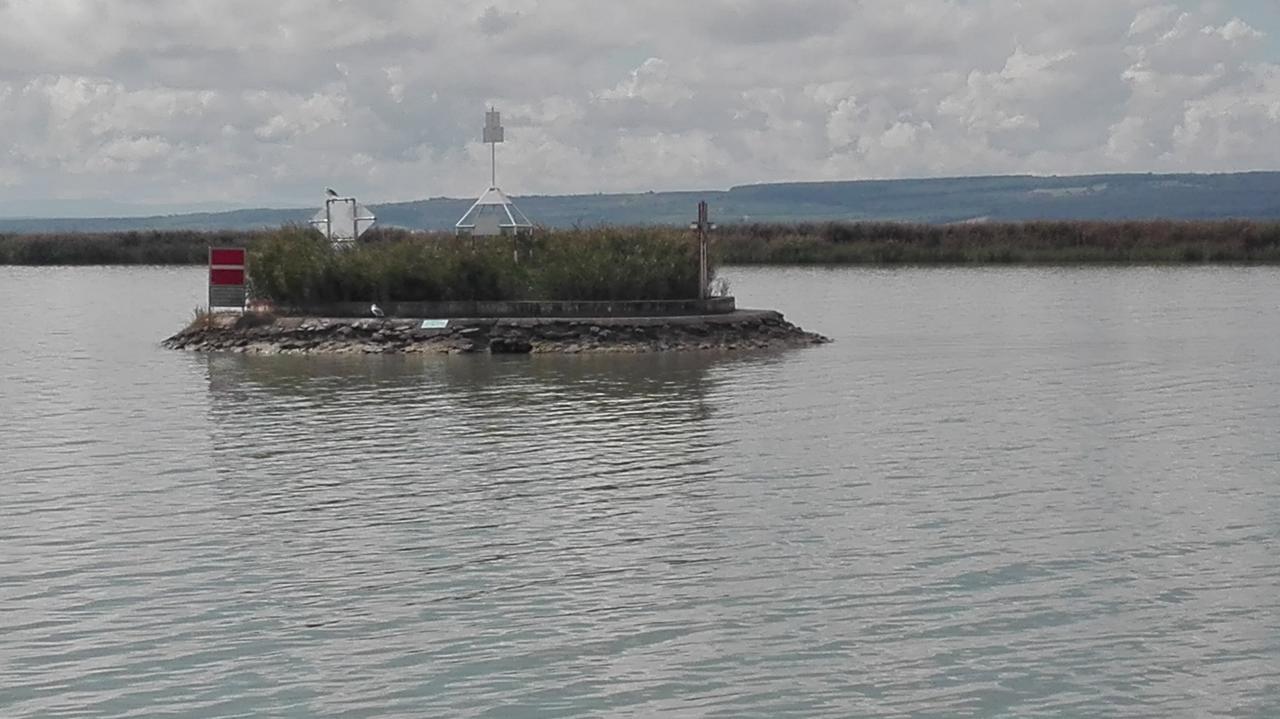 Ferienwohnungen Feldsee Illmitz Exterior foto